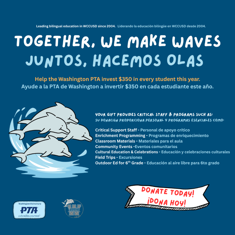 Three dolphins leap through stylized waves in the foreground, set against a dark blue background with text about supporting student programs.