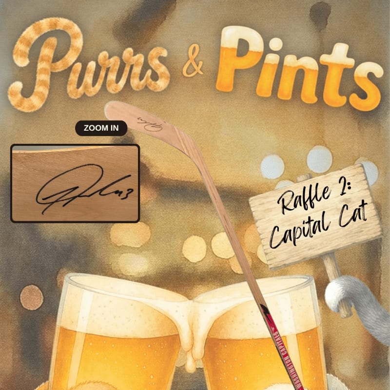 Two frothy beers are clinking in the foreground, with a wooden paddle and a "Raffle: Capital Cat" sign behind them, all under a "Purrs & Pints" title with a blurred, bokeh background.