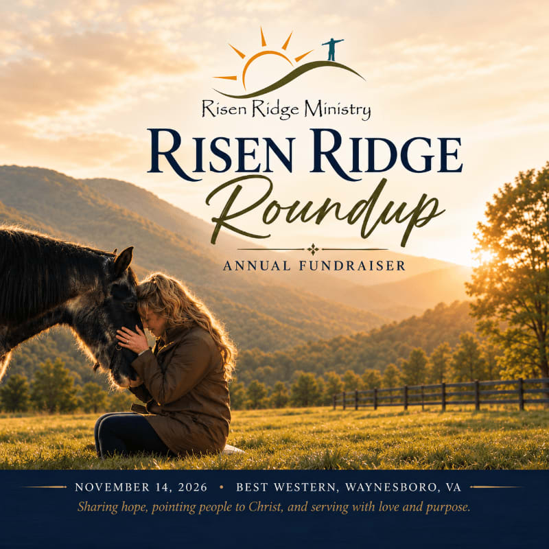 A person kneels in a grassy field, embracing a horse, with rolling hills and a sunset in the background.