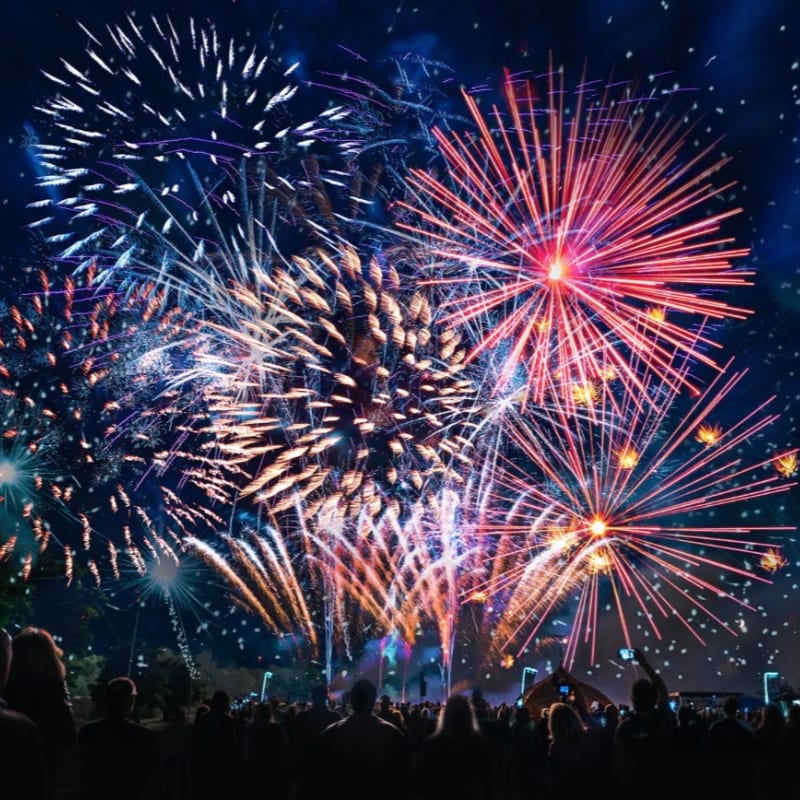 A crowd of silhouetted people watches a vibrant fireworks display explode in the night sky.