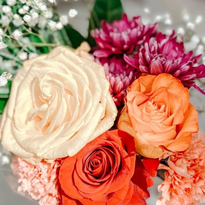 A bouquet of cream, orange, and red roses is nestled amongst delicate pink carnations and white baby's breath, with a soft, blurred background.