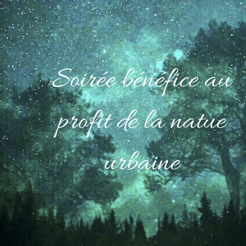 Silhouetted trees in the foreground are set against a starry, dark blue night sky with white text overlaying the scene.