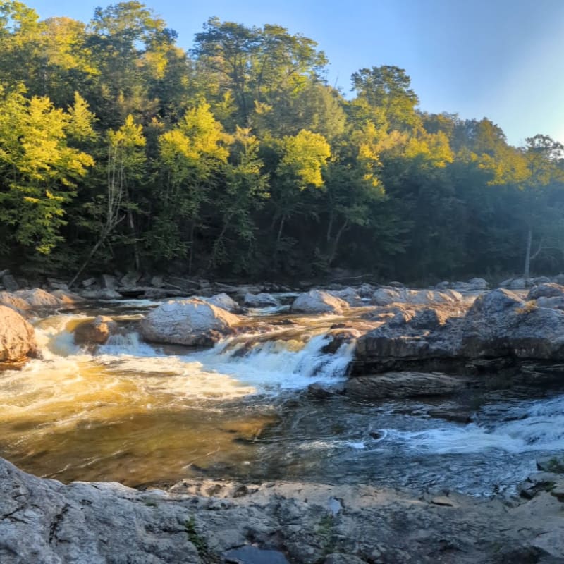 Sunlight illuminates a rocky riverbed with rushing water in the foreground, while a dense, green forest lines the background under a clear sky.