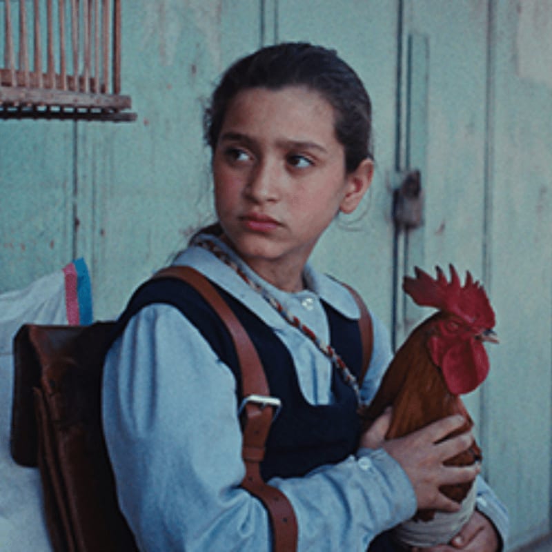 A young girl with a serious expression holds a rooster in her arms, with a weathered wooden door and a birdcage visible in the background.