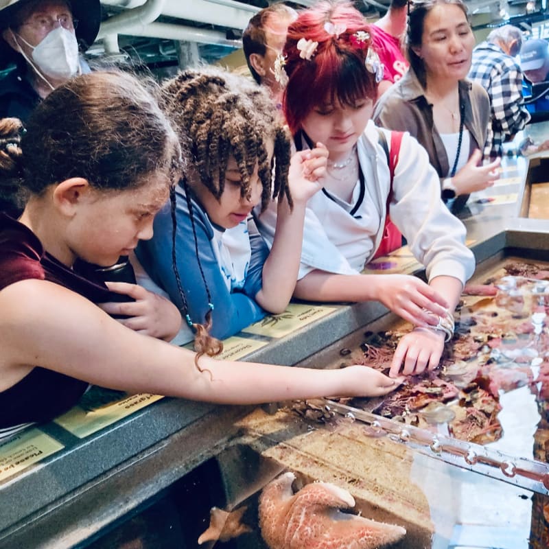 Children in the foreground lean over a touch tank filled with starfish and other sea creatures, while adults in the background observe them.