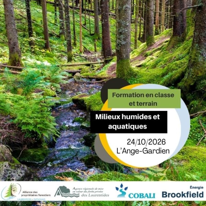 A lush forest with a stream in the foreground is overlaid with text announcing a training session on wetlands and aquatic environments.