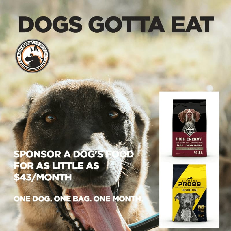 A close-up of a panting dog's face fills the foreground, with two bags of dog food to its right and the text "DOGS GOTTA EAT" and sponsorship details overlaying the blurred, outdoor background.