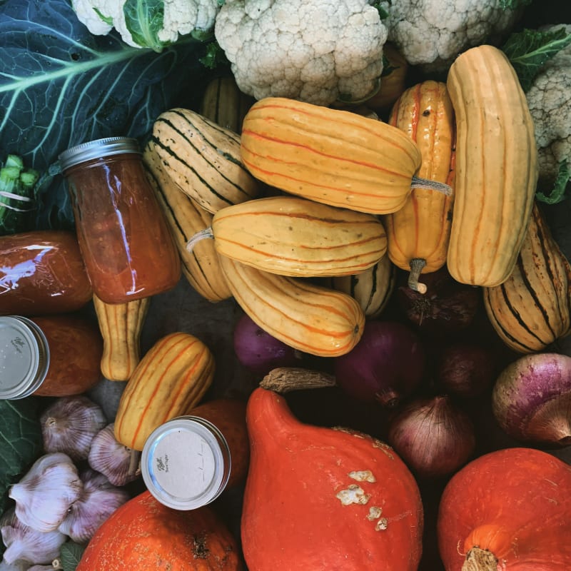 A vibrant assortment of fall vegetables, including squash, cauliflower, onions, and pumpkins, are arranged with jars of preserves in the foreground, against a dark, textured background.
