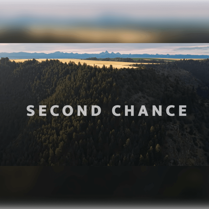 A dense forest covers rolling hills in the foreground, with the words "SECOND CHANCE" overlaid, while a golden field and distant mountains are visible in the background under a hazy sky.