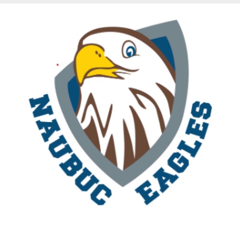 A cartoon eagle's head with a yellow beak and blue eyes is centered within a gray and blue shield, with "NAUBUC EAGLES" written in blue text on either side of the shield against a white background.