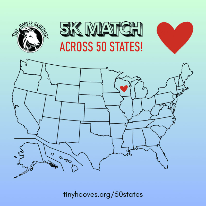 A map of the United States with a red heart marking Wisconsin is overlaid with text announcing a "5K MATCH ACROSS 50 STATES!" and a logo for "TINY HOOVES SANCTUARY" in the upper left corner.