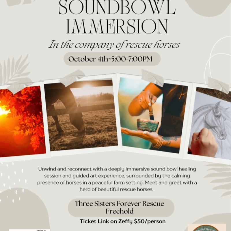 Four framed photos of horses and art are displayed above text promoting a "Soundbowl Immersion" event with rescue horses.