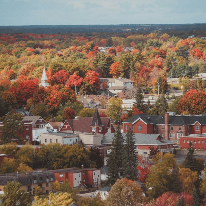 a town surrounded by trees in the fall