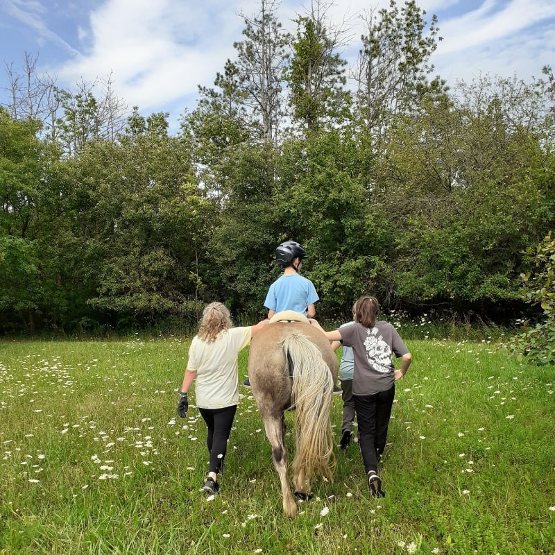 Two people walk alongside a horse with a rider in a field of white wildflowers, with a dense forest in the background under a cloudy sky.