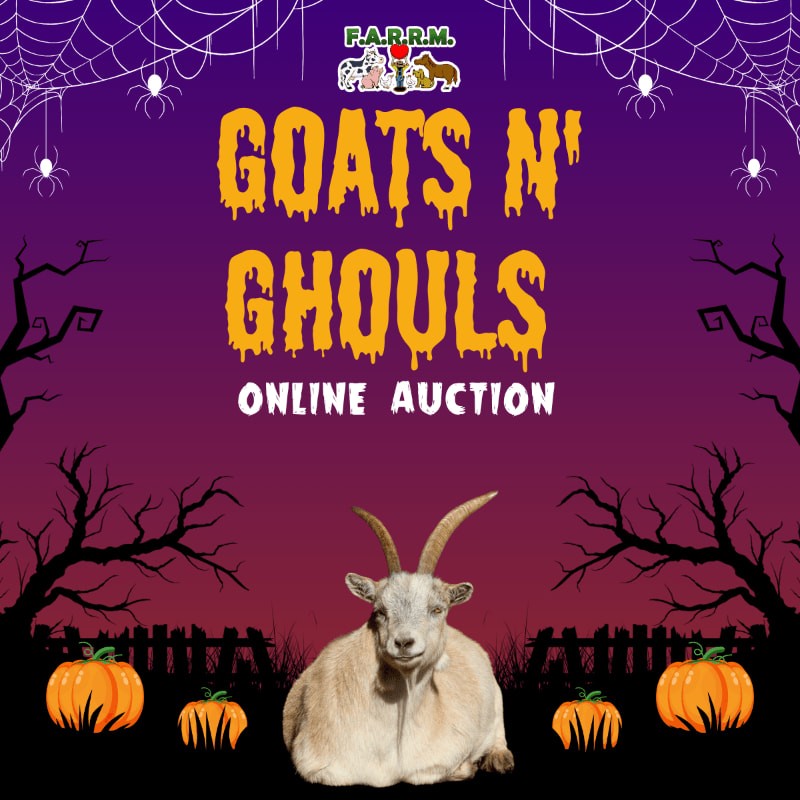 A goat sits in the foreground with pumpkins and a fence, while the background features a spooky Halloween-themed graphic with cobwebs, spiders, and bare trees against a purple gradient sky.