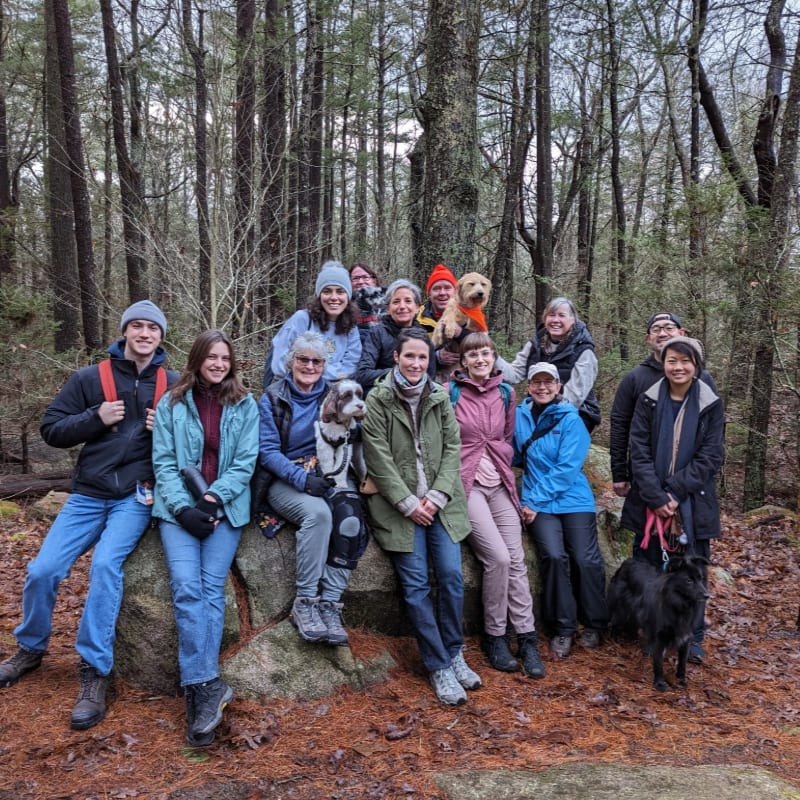 A group of people and dogs pose for a photo on a large rock in a forest with bare trees and fallen leaves.