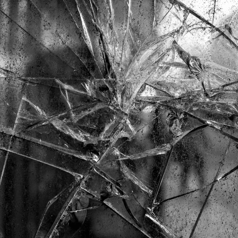 a black and white photo of a tree