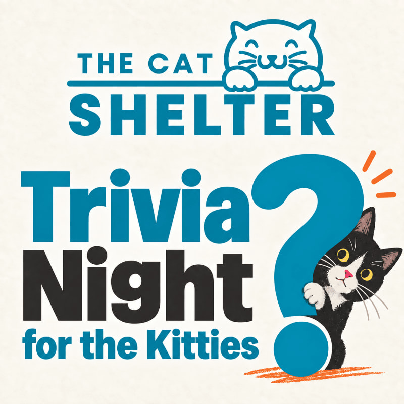 A cartoon cat peeks out from behind a large blue question mark in the foreground, while the words "The Cat Shelter Trivia Night for the Kitties" are displayed in the background.