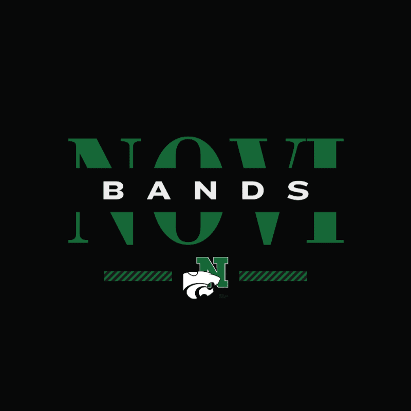 Green text reading "NOVI BANDS" is centered on a black background, with a white cat logo and "N" below it.