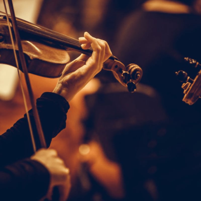 A close-up of a violinist's hands on their instrument is set against a blurred background of other musicians.