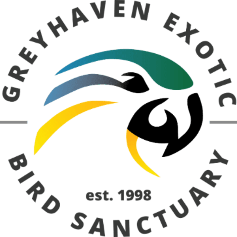 A colorful parrot's head, rendered in a stylized logo with a white background, is the central element, with the words "GREYHAVEN EXOTIC BIRD SANCTUARY est. 1998" encircling it.