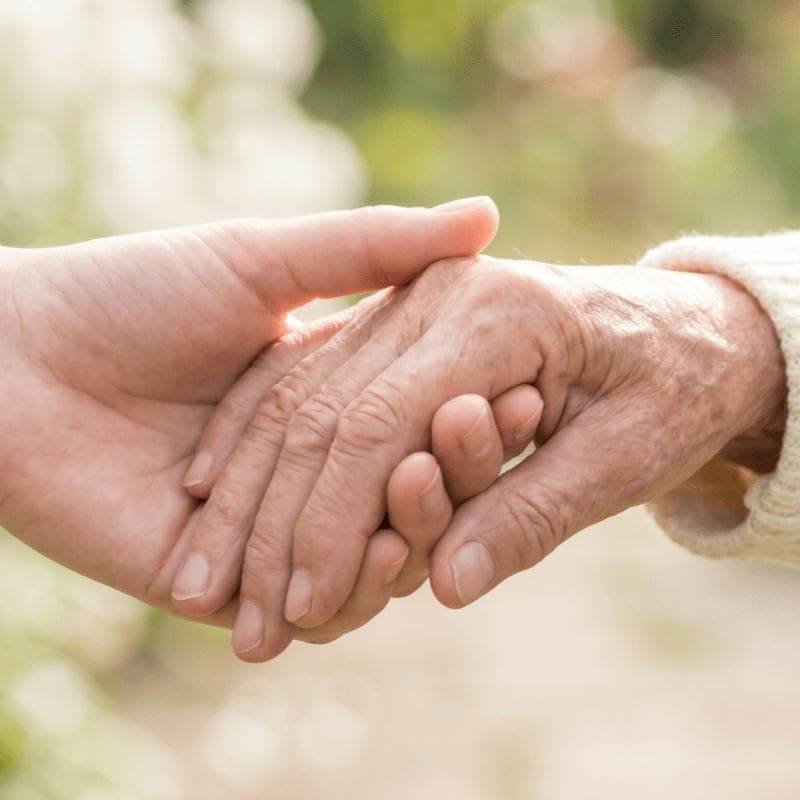 A younger hand gently clasps an older, wrinkled hand against a soft, blurred background of greenery.