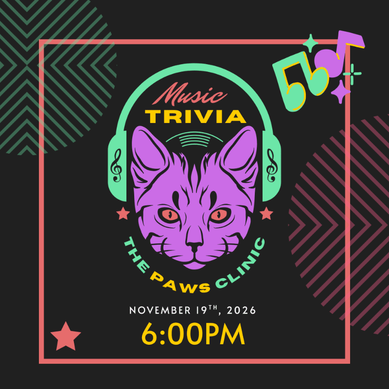 A purple cat wearing headphones is the central focus against a dark background with geometric patterns and musical notes, advertising "Music Trivia" for "The Paws Clinic" on November 19th, 2026, at 6:00 PM.