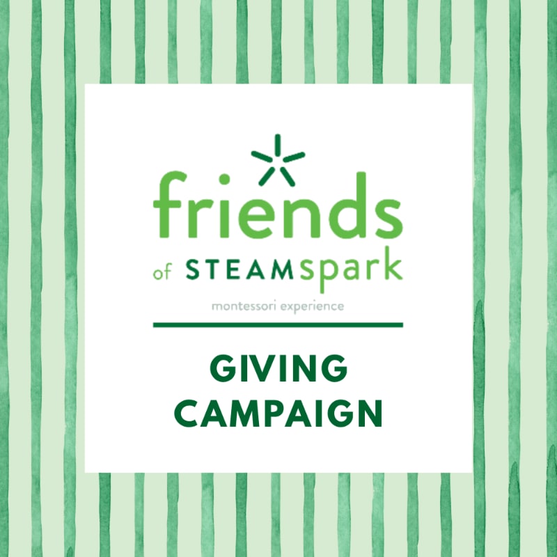 A white square with green text and a logo for "friends of STEAMspark" and "GIVING CAMPAIGN" is centered on a background of light green watercolor stripes.