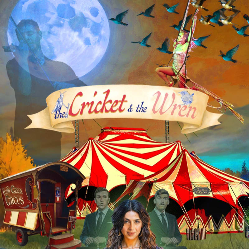 A vibrant circus tent and a gypsy wagon are in the foreground, while a trapeze artist swings through a flock of birds against a large, ethereal moon in the background.