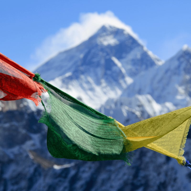 red, green, and yellow banner