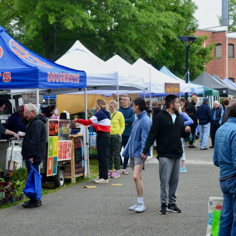 People browse stalls at an outdoor market with tents and trees in the background.
