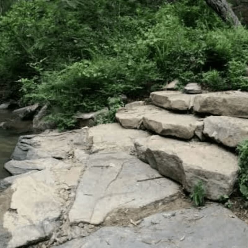 Large, flat stones form a natural staircase leading up from a gentle stream, with lush green foliage filling the background.
