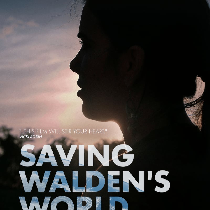 A silhouetted woman looks towards a sunset sky with the title "SAVING WALDEN'S WORLD" prominently displayed.