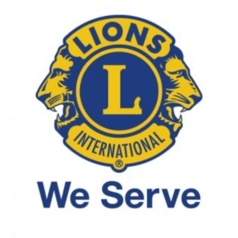A circular logo with two lion heads and the words "LIONS INTERNATIONAL" is centered above the slogan "We Serve" on a white background.
