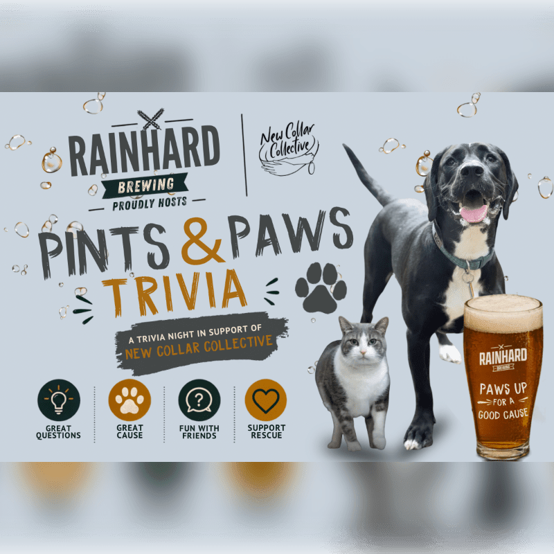 A black and white dog and a tabby cat stand next to a pint of beer in front of a poster advertising "Pints & Paws Trivia" hosted by Rainhard Brewing.