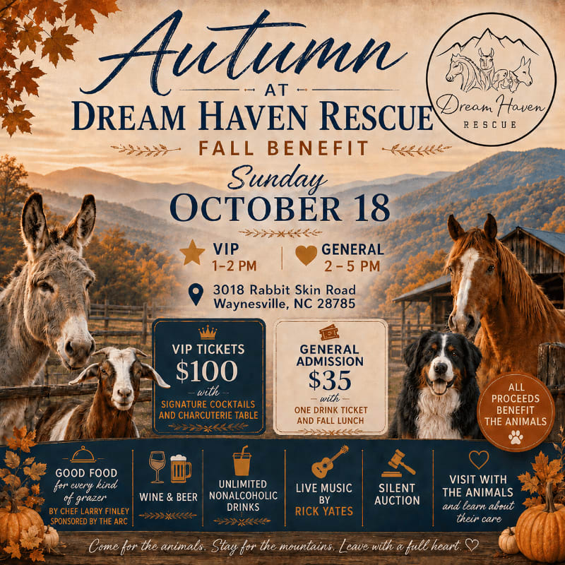 A donkey, goat, Bernese mountain dog, and horse are featured in the foreground of a flyer for an autumn fall benefit at Dream Haven Rescue, set against a backdrop of trees and a rustic barn.