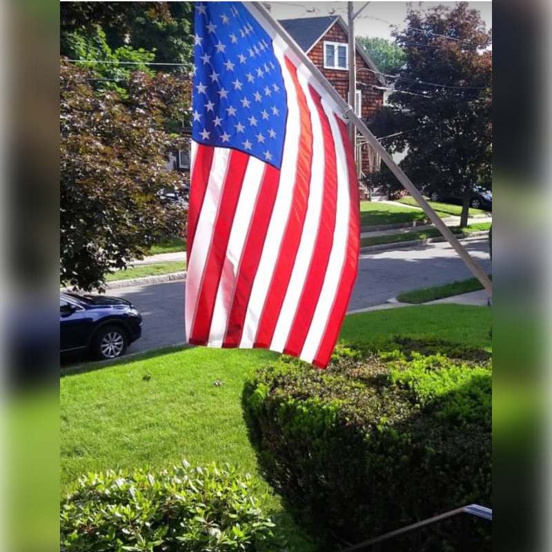 An American flag waves in the foreground, with a suburban street and houses visible in the background.
