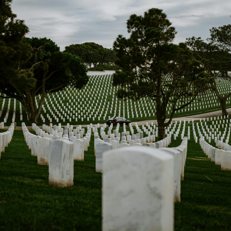 white wooden fence on green grass field