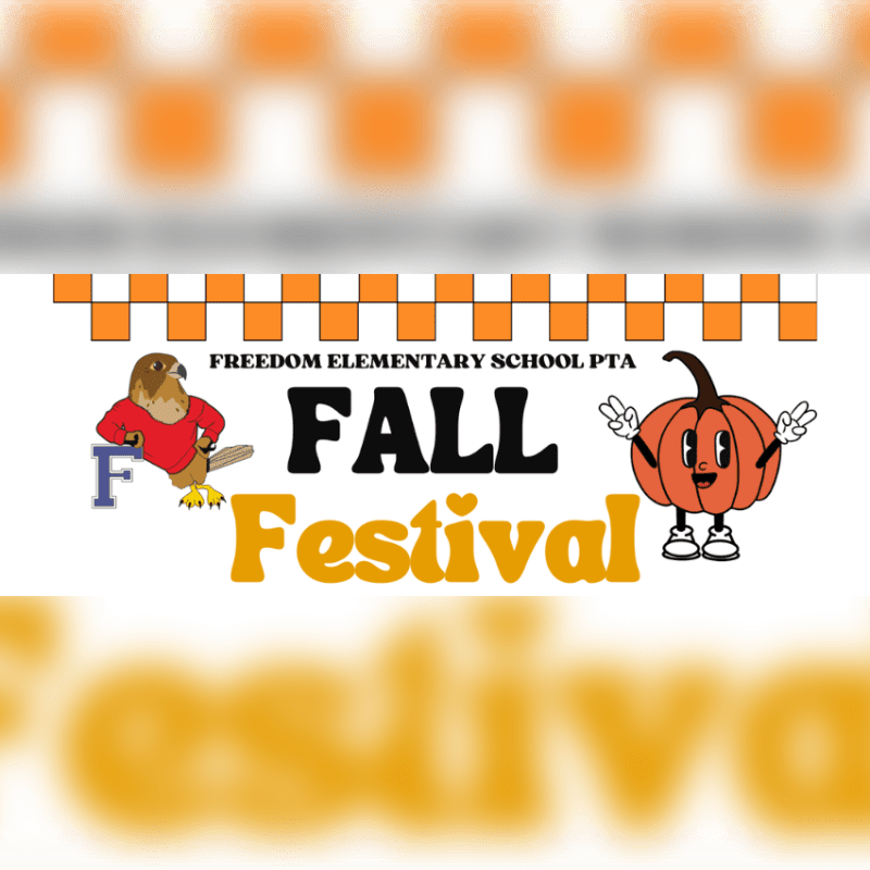 A cartoon hawk and a smiling pumpkin flank the words "FALL FESTIVAL" in the foreground, set against a blurred orange and white checkered background.