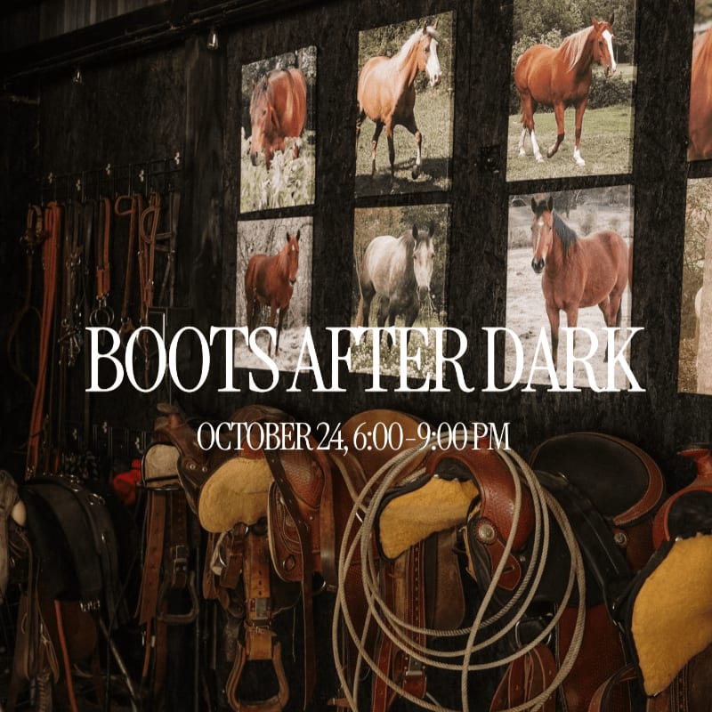 Leather saddles and horse tack fill the foreground, while framed photographs of horses adorn the dark, rustic wall in the background.
