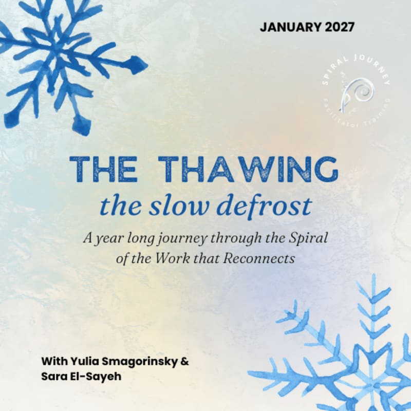 Blue snowflakes in the foreground frame text about "The Thawing: the slow defrost," a year-long journey, set against a soft, textured background with a circular logo.