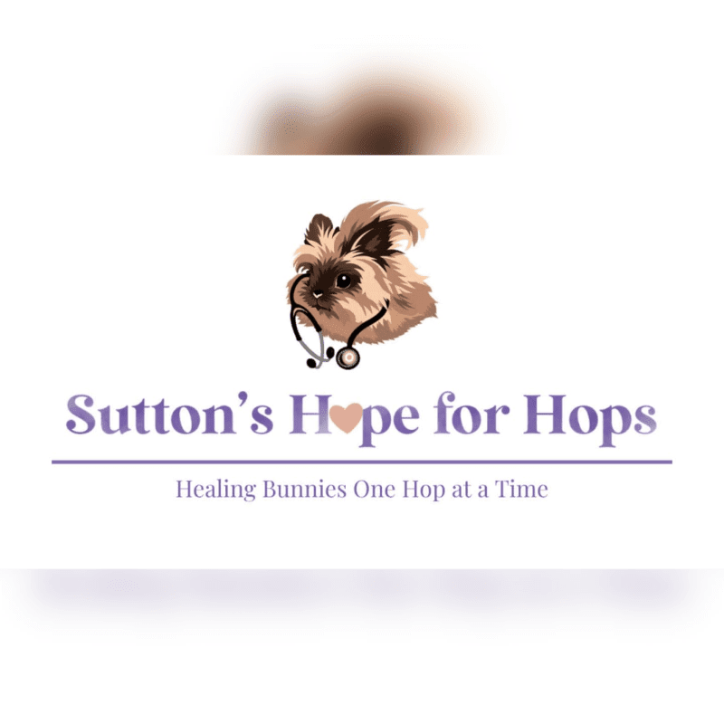 A fluffy bunny wearing a stethoscope is centered above the text "Sutton's Hope for Hops" and "Healing Bunnies One Hop at a Time" on a white background.