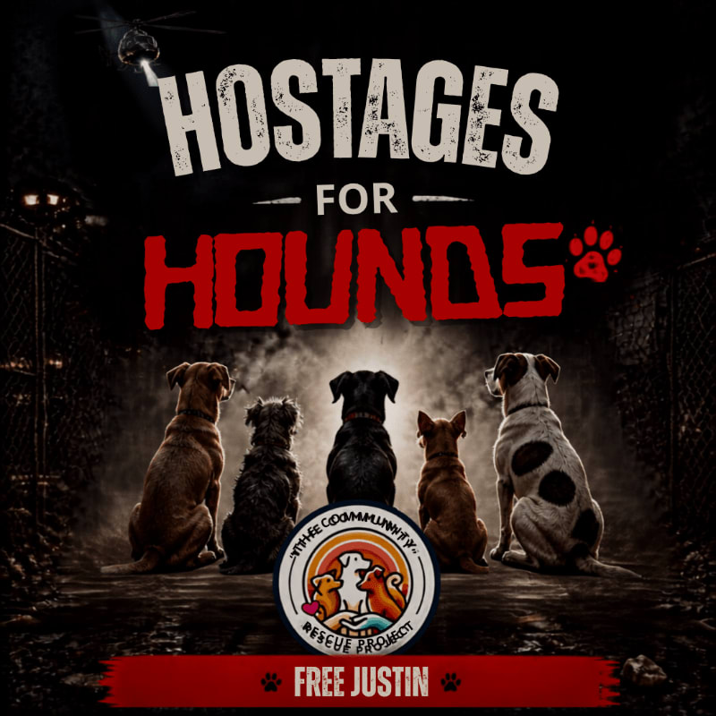 Five dogs sit in the foreground with a "Hostages for Hounds" poster and a rescue project logo behind them, set against a dark, gritty background with a spotlight.