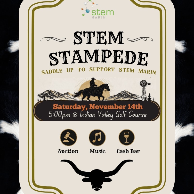A black and white cowhide pattern frames a poster advertising the "STEM Stampede" event, featuring a silhouette of a cowboy on horseback against a mountain and windmill backdrop.