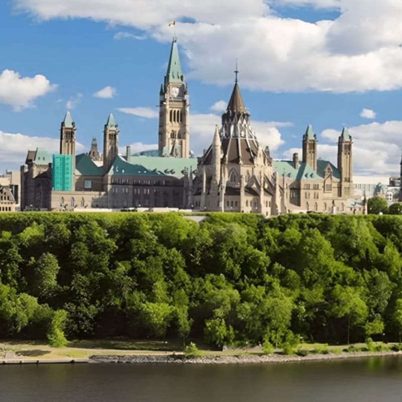 A lush green forest in the foreground overlooks a grand, historic building with multiple spires and a clock tower under a bright, cloudy sky.