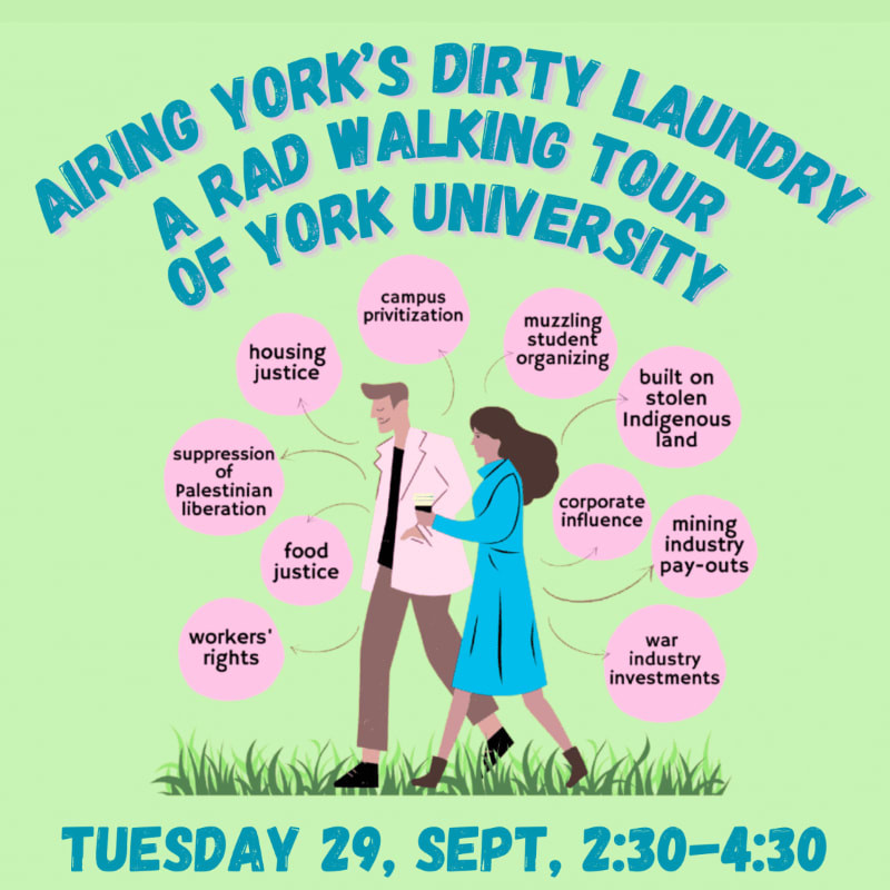 A couple walks through grass in the foreground, with a yellow background featuring a title about "Airing York's Dirty Laundry" and various issues surrounding York University.