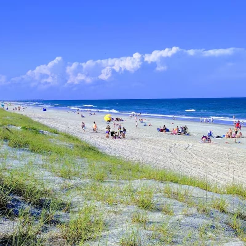 Grassy sand dunes lead toward a crowded white beach and a deep blue ocean under a bright, cloudy sky.