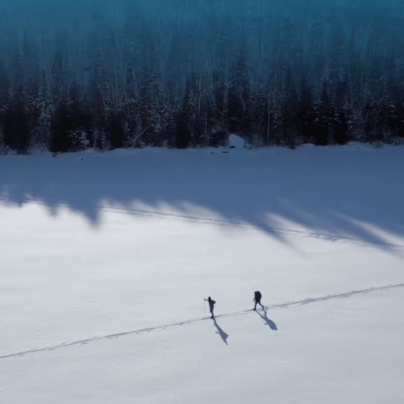 Two people walk across a vast, snowy plain in the foreground with a dense forest of dark trees in the background.
