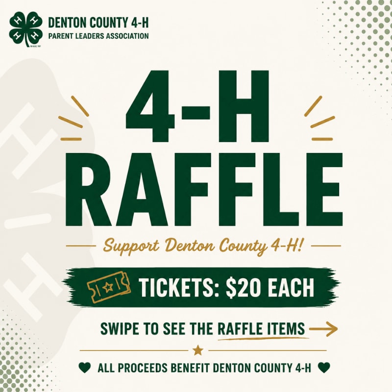 Bold green text announcing a "4-H RAFFLE" sits in the foreground against a light cream background featuring the Denton County 4-H logo and subtle decorative patterns.