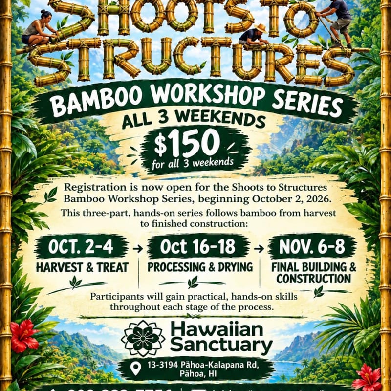 A promotional flyer for a bamboo workshop series features bold text and event details in the foreground against a lush, tropical mountain landscape background.